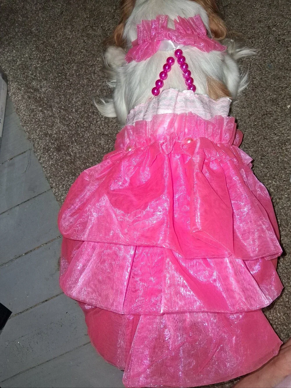 Pink Tiered Pet Costume Dress for Kids Costumes